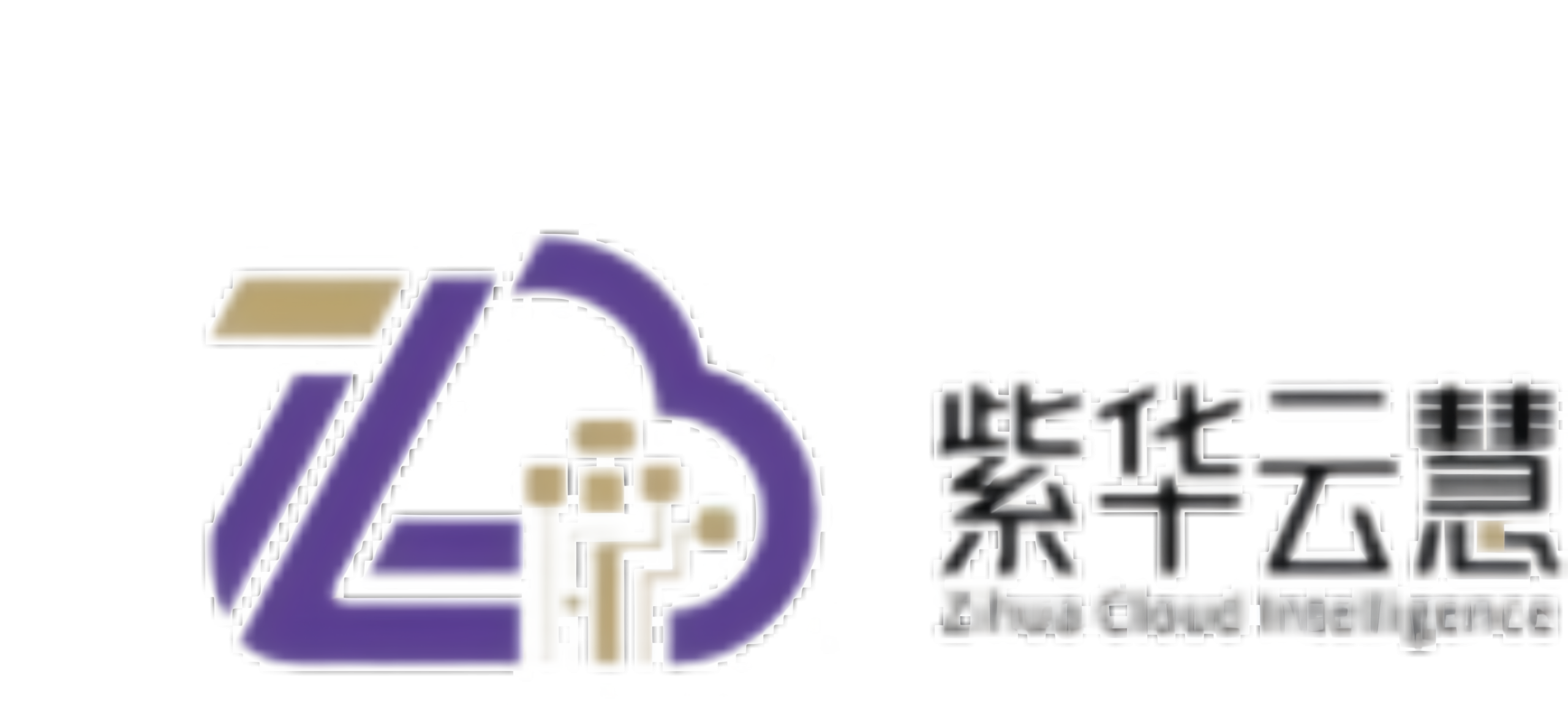 紫华云慧 - 数字化转型解决方案提供商