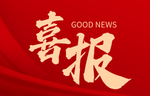 喜报｜公司成功通过三体系认证，以标准化建设赋能高质量发展