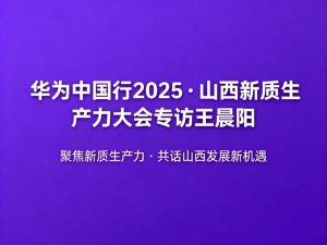 专访王晨阳：以新技术为传统产业注入新活力