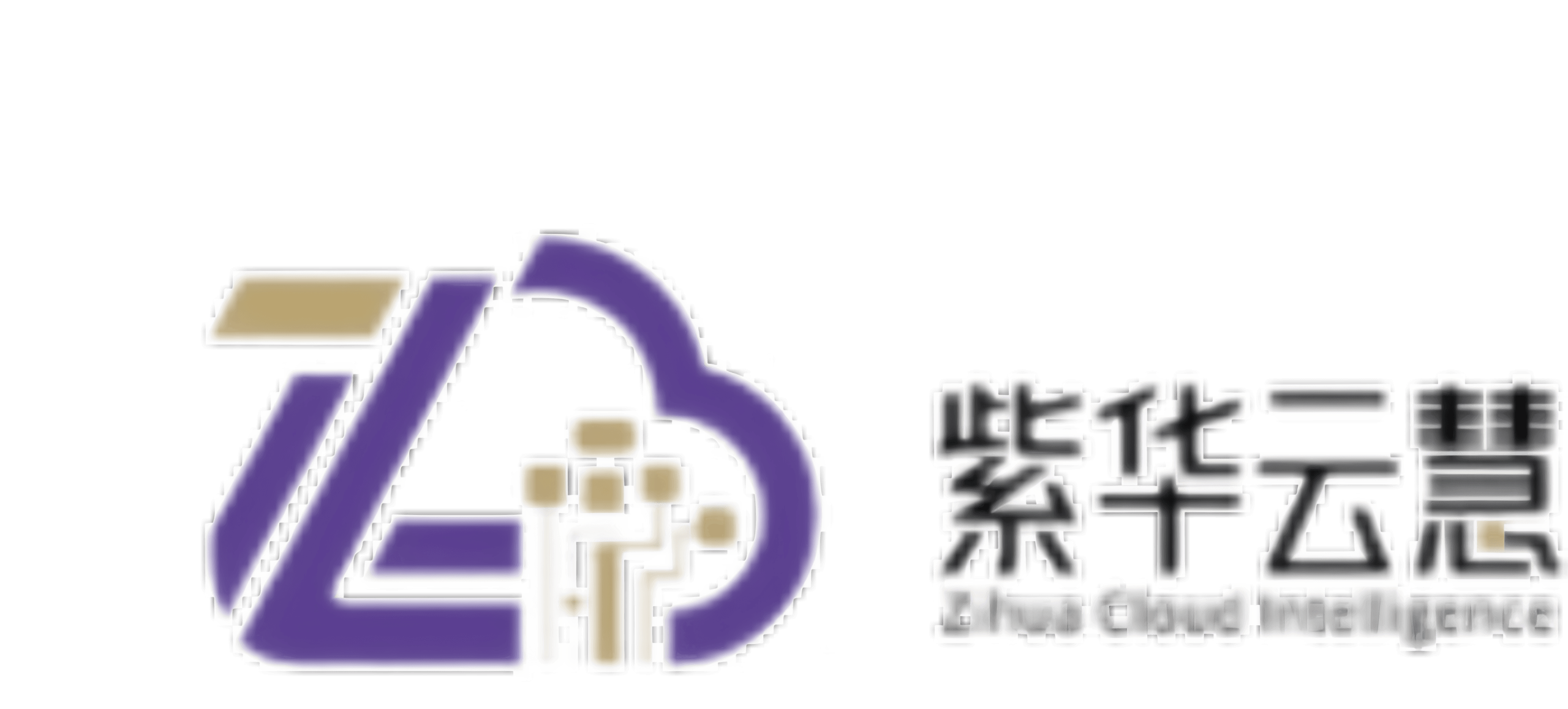 紫华云慧 - 数字化转型解决方案提供商